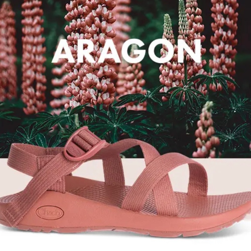 Classic Chaco Sandals in Aragon Size 8